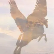 くーま@@@