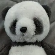 ちぃの画像