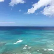 なつ⭐︎の画像