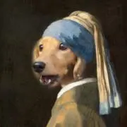 わんこ