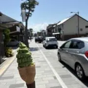 Noah0の画像