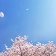 ゆう☆即購入大歓迎！の画像