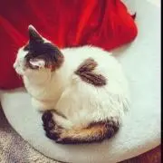☆美羽☆の画像