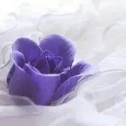 ゆいゆあい★プロフ見てね♪