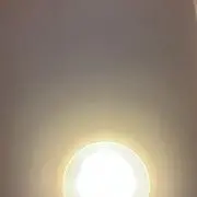 ラッツの画像