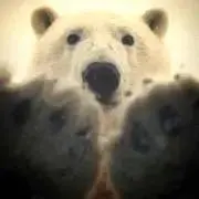 ゆきち☆の画像