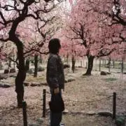 ishimatsuの画像