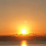 ペチェモン