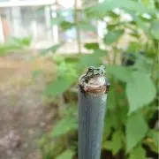 おふとぅんの画像