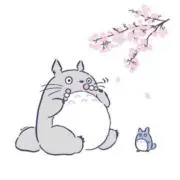 toto @まとめて購入歓迎・フォロー割の画像