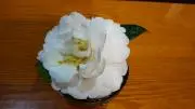 Hiroの画像