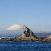 ぺぺの画像