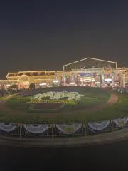 花冷え。のマツリ(Gt./Vo.)さんのピック 非売品 激レア - メルカリ