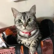 ☆みき☆