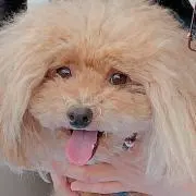plage＊‎0706の画像
