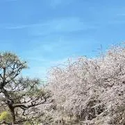 ふみまおの画像