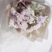 miyuの画像