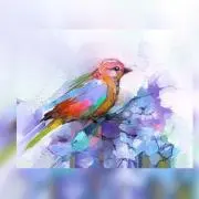 ななつおや  * ૮( ˊᵕˋ )ა◞✺の画像