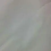 芍薬