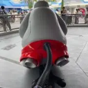 さとうの画像