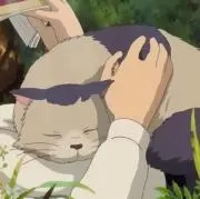 m【即購入可】の画像