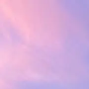 Lilyの画像