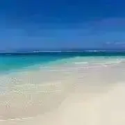 mishellの画像