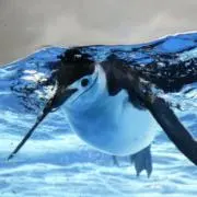 ぽてぽてわんの画像
