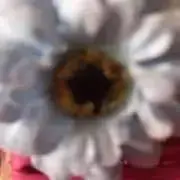 ダリアプロフ必読