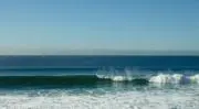 Surf_Kamakuraの画像