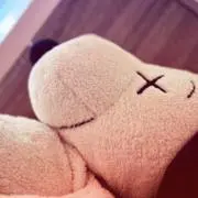SSの画像
