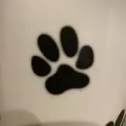 ki kiの画像