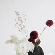 tsuの画像