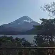 みみ