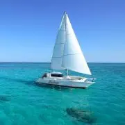 Blue Pixyの画像
