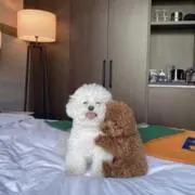 みの画像