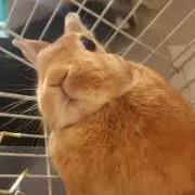 ゆきママの画像