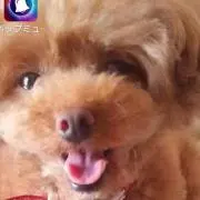 大和魂