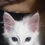 yamachanの画像