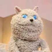 リリックの画像