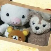 ブタウサギ