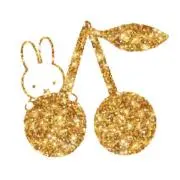 coco___*の画像