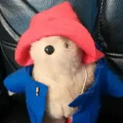 希少カラー✨グッチ♡日本限定色フラップ長財布 ボウイりぼんシマ 