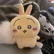 ヒロキさんの画像