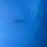 ココメイ