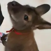 MOSの画像