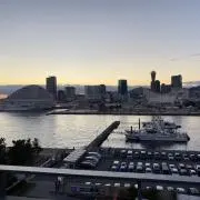 momoの画像