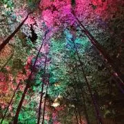 くまり断捨離中の画像