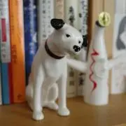 タカイの画像