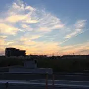 ハロハロ